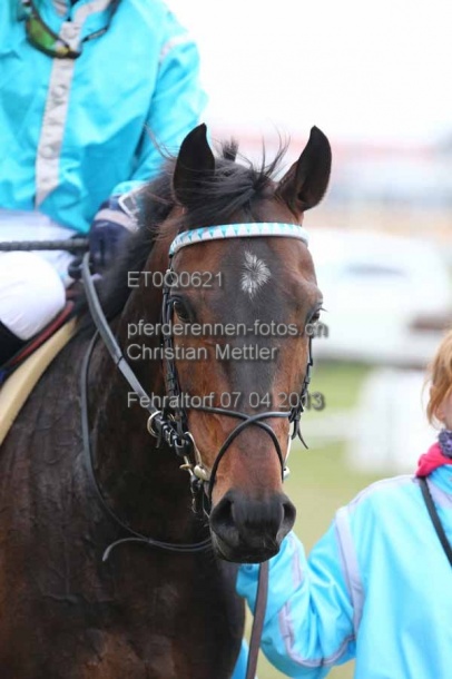 ET0Q0621 prot