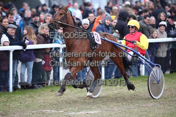 ET0Q0695 prot