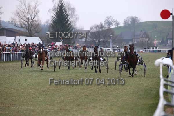 ET0Q0734 prot