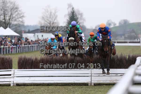 ET0Q0883 prot