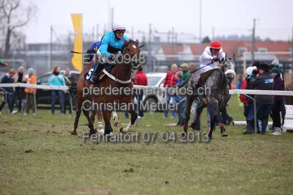 ET0Q0948 prot