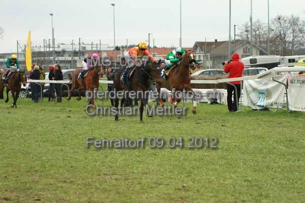 IMG 0657 prot