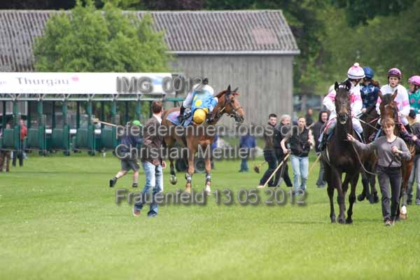 IMG 0012 prot