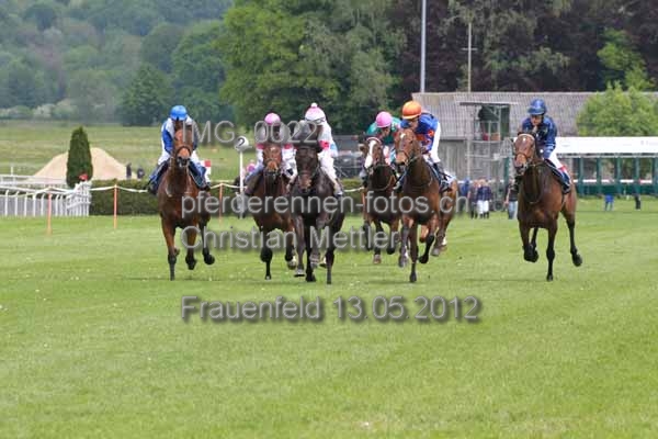 IMG 0022 prot