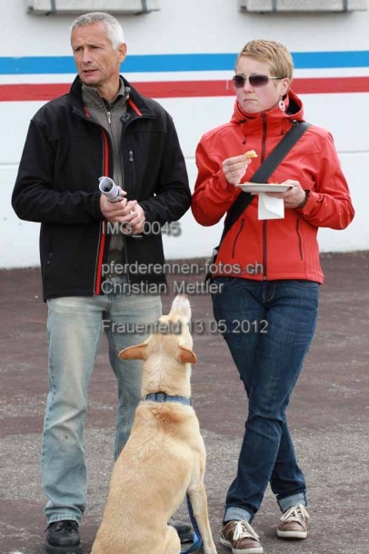 IMG 0045 prot
