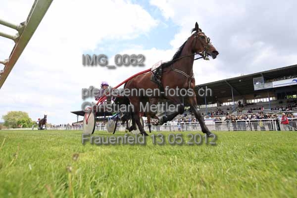 IMG 0062 prot