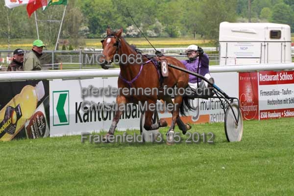 IMG 0068 prot