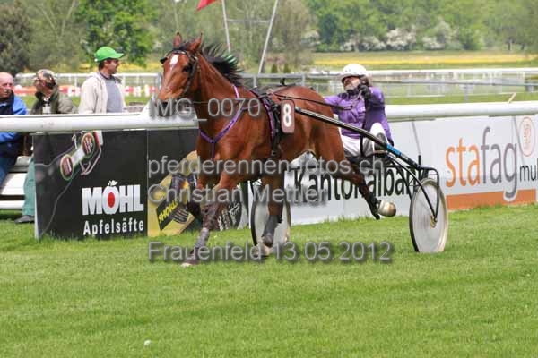 IMG 0070 prot