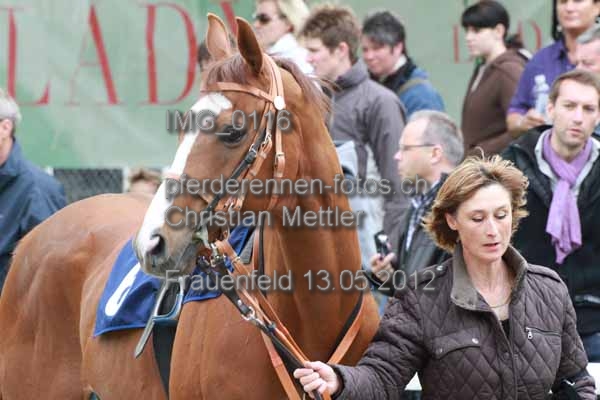 IMG 0116 prot