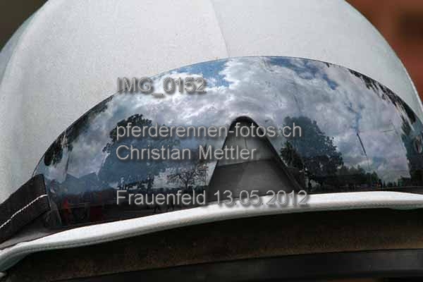 IMG 0152 prot
