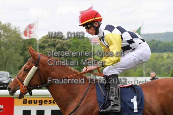 IMG 0162 prot