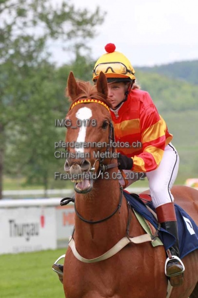 IMG 0178 prot