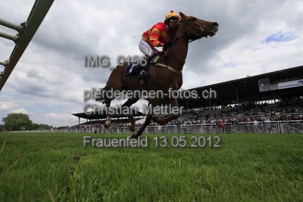IMG 0196 prot