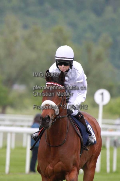 IMG 0302 prot