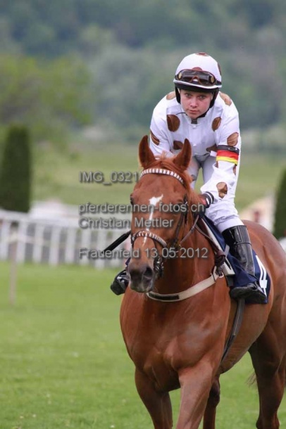 IMG 0321 prot