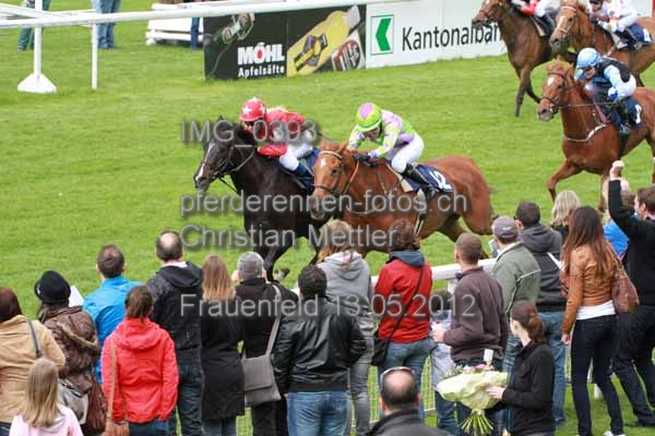 IMG 0393 prot
