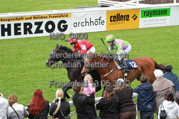 IMG 0400 prot