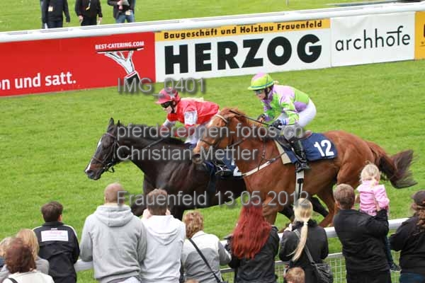 IMG 0401 prot