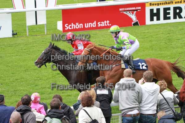 IMG 0402 prot
