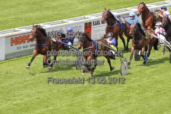 IMG 0502 prot