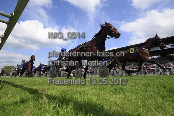 IMG 0514 prot