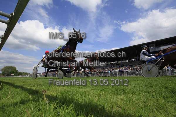 IMG 0516 prot
