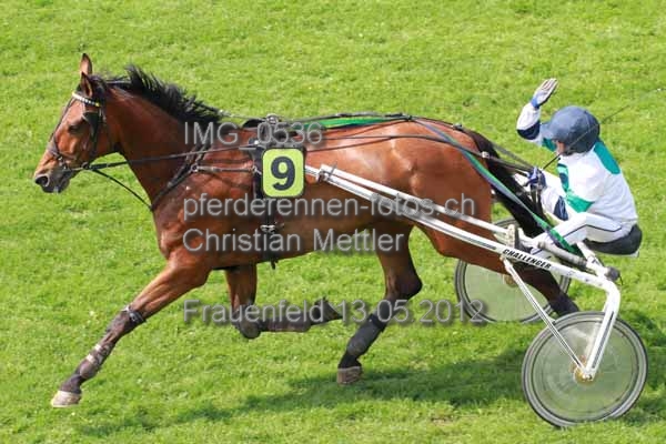 IMG 0536 prot