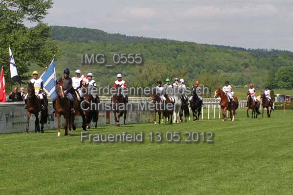IMG 0555 prot