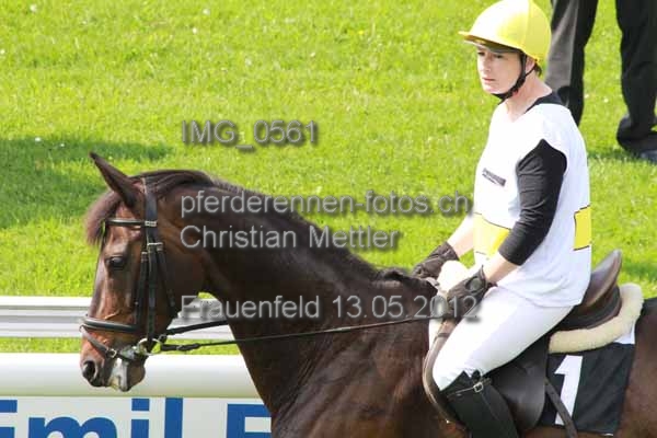 IMG 0561 prot