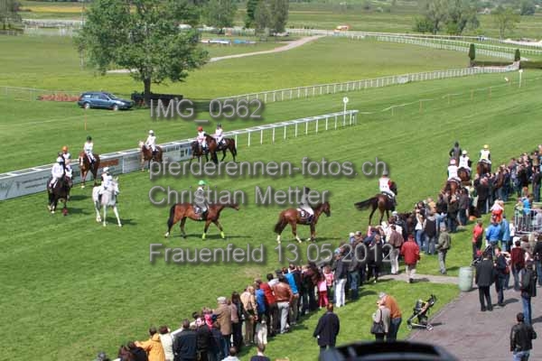 IMG 0562 prot