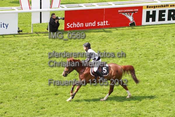 IMG 0589 prot
