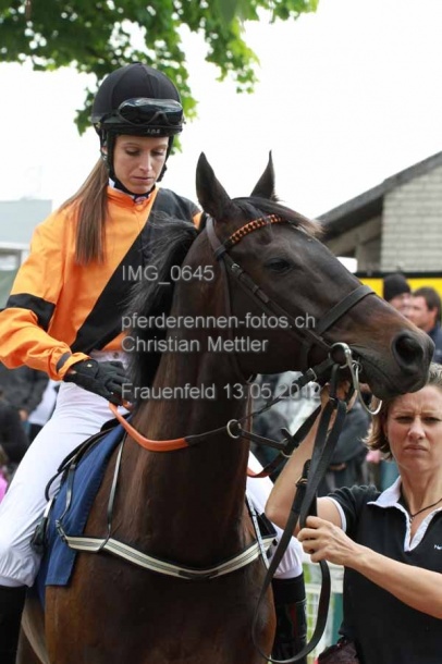 IMG 0645 prot