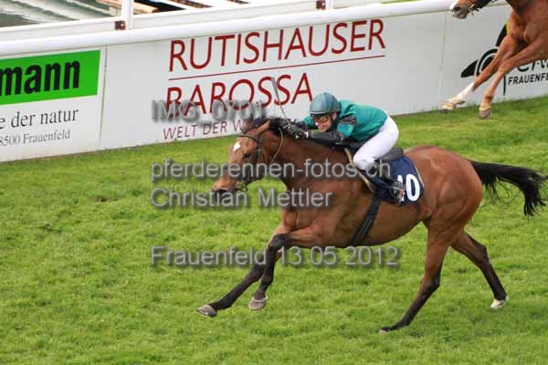 IMG 0701 prot