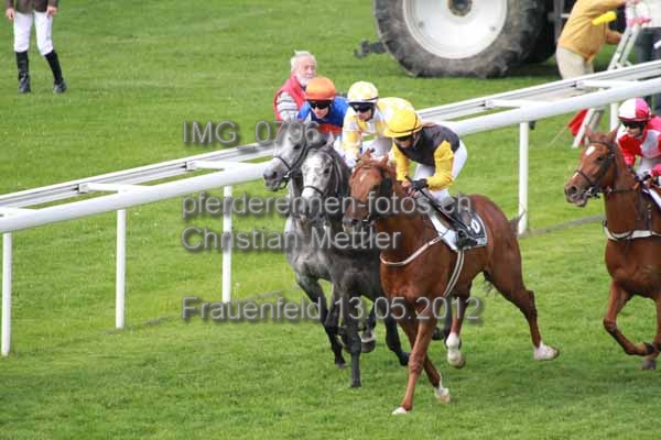 IMG 0796 prot