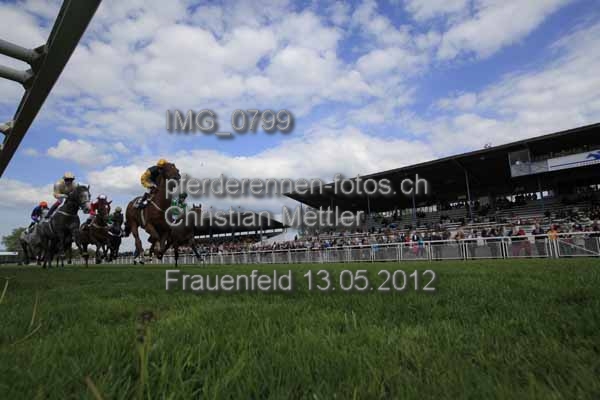 IMG 0799 prot