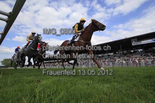 IMG 0800 prot