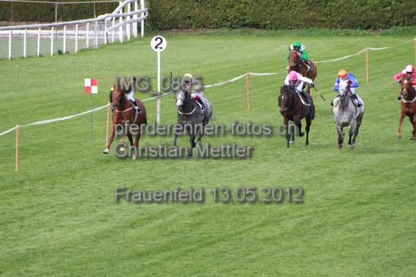 IMG 0805 prot