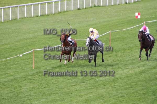 IMG 0808 prot