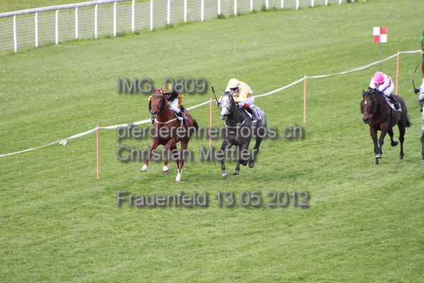 IMG 0809 prot