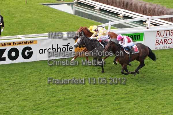IMG 0843 prot