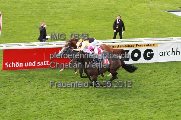 IMG 0846 prot