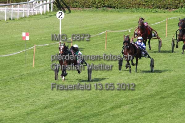 IMG 0872 prot