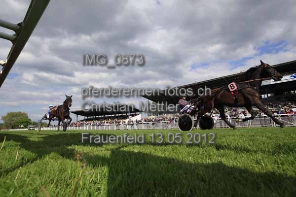 IMG 0873 prot
