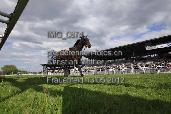 IMG 0874 prot