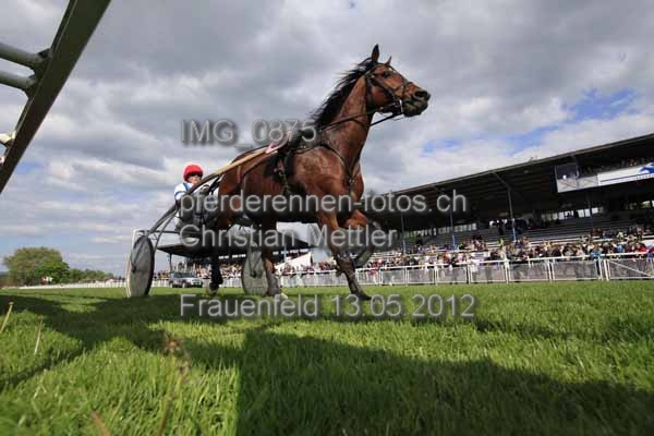 IMG 0875 prot