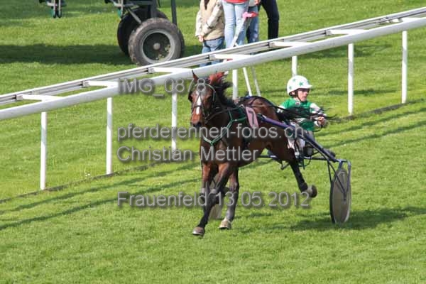 IMG 0878 prot