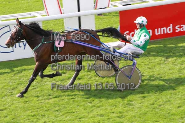 IMG 0890 prot