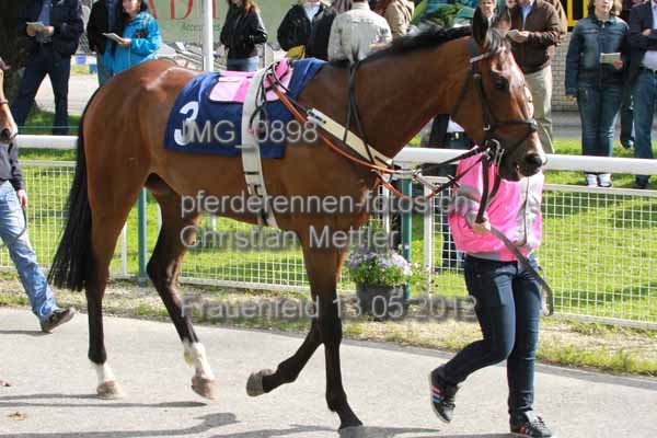 IMG 0898 prot