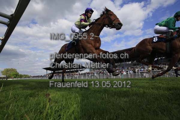 IMG 0955.2 prot