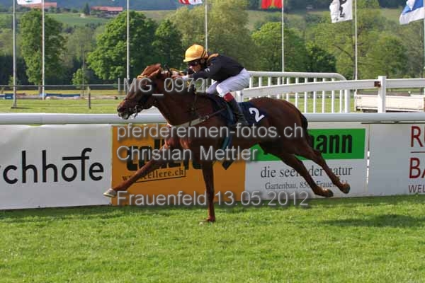 IMG 0972 prot
